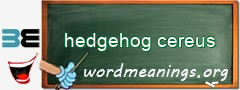 WordMeaning blackboard for hedgehog cereus